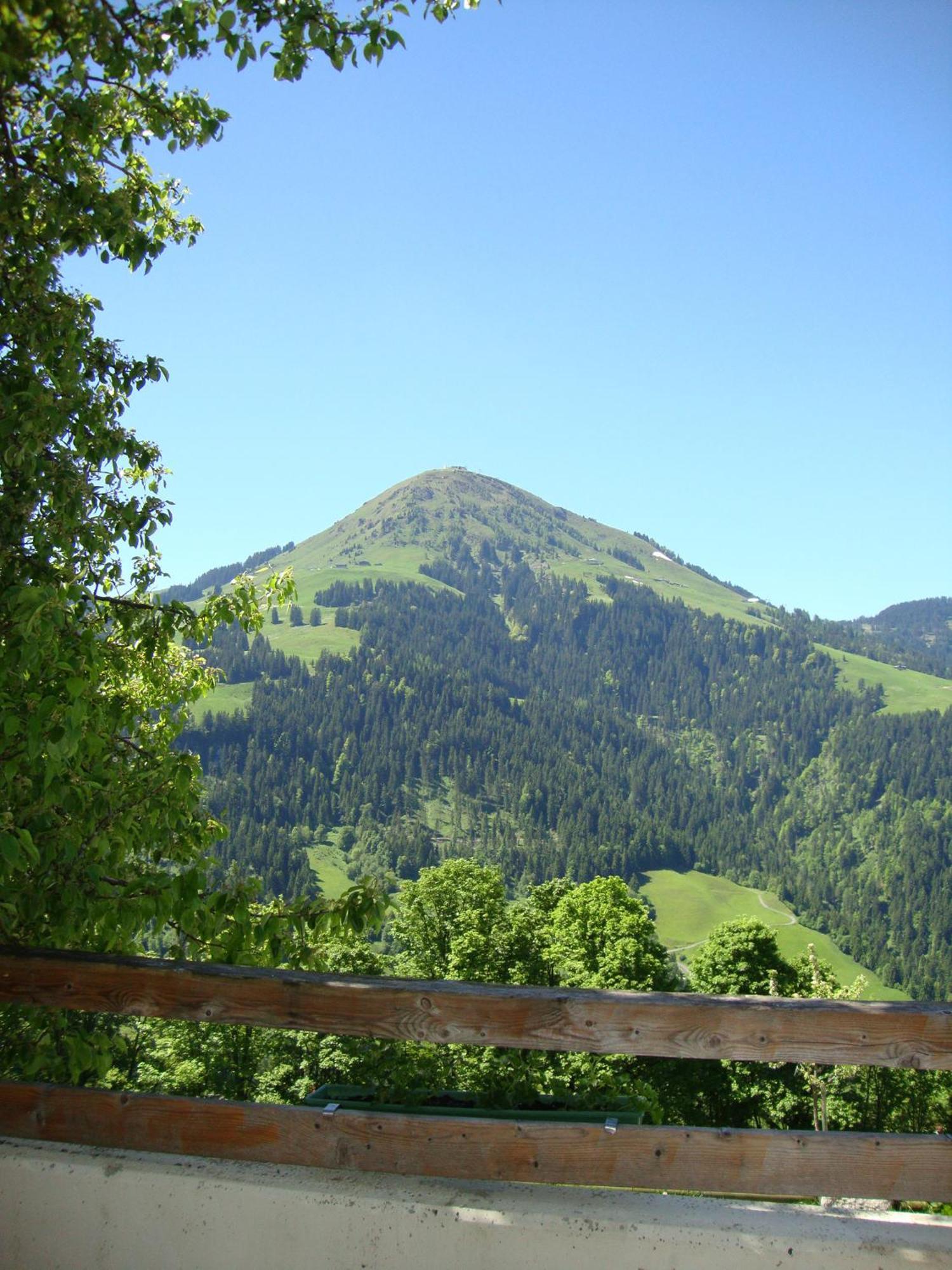 Alpengasthof Gruberhof Söll Exteriör bild